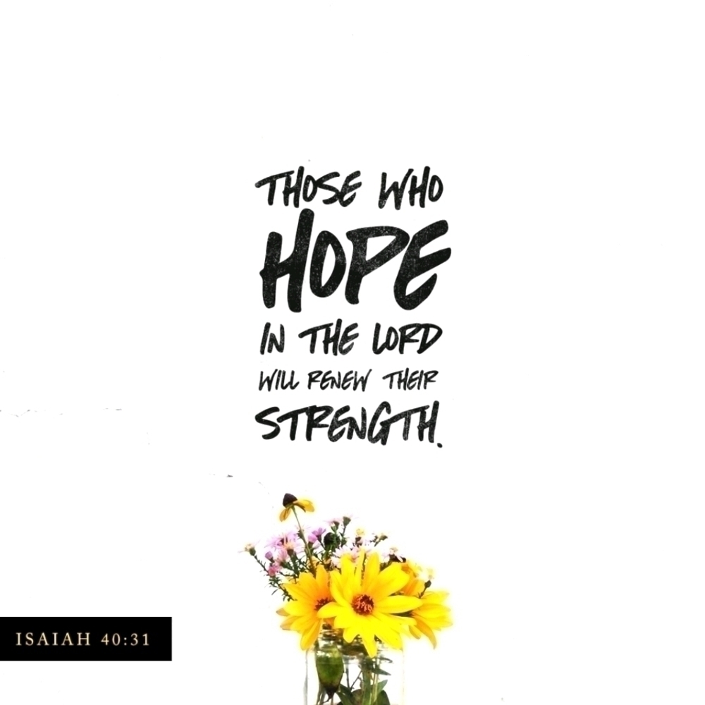 CLOTHES, shoes, jewelry, and household good.